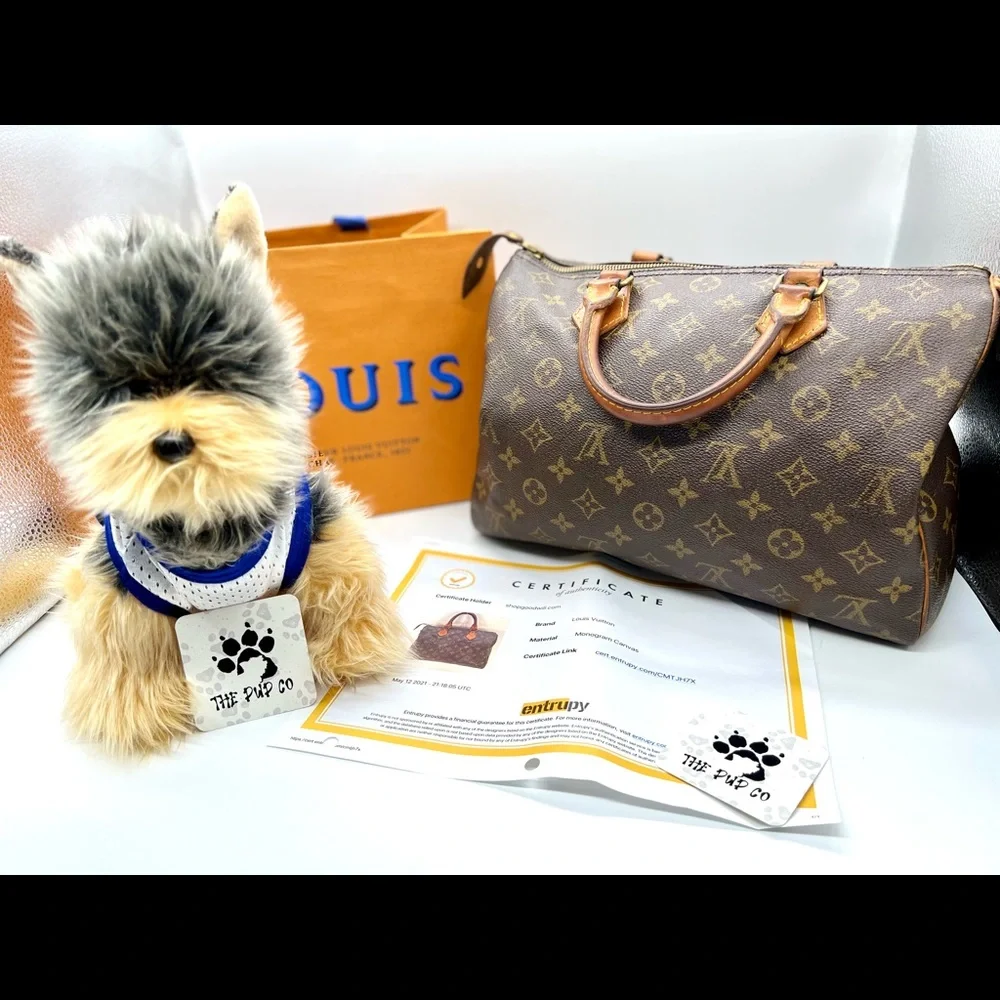Vintage Louis Vuitton Bag